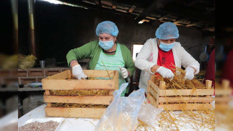 Más de 14 mil familias campesinas recibieron hongo seta para mejorar su alimentación