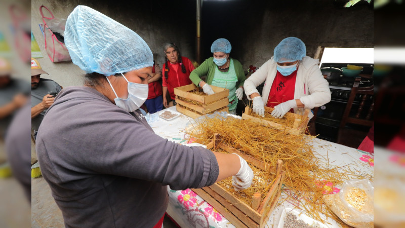 Más de 14 mil familias campesinas recibieron hongo seta para mejorar su alimentación
