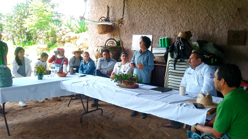 Implementa Secma programa de manejo para conservación de El Tocuz