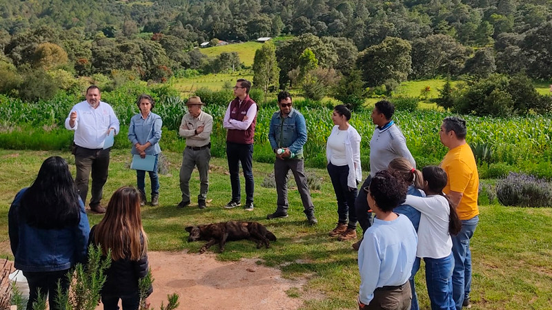 Implementa Secma programa de manejo para conservación de El Tocuz