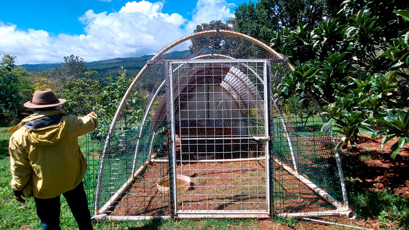 Implementa Secma programa de manejo para conservación de El Tocuz
