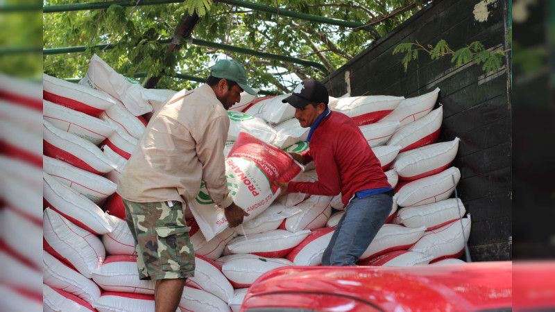 Estos son los requisitos para que pequeños productores reciban fertilizante gratuito 