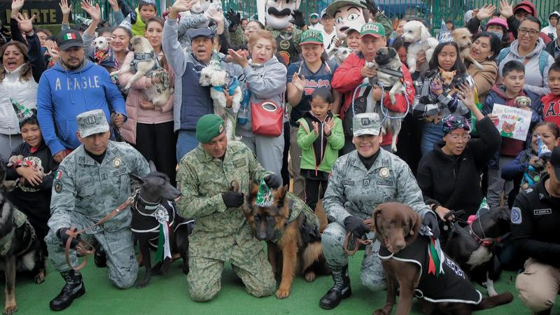 Celebran cumpleaños de Arkadas, lomito que donó Turquía a México al Ejército nacional 