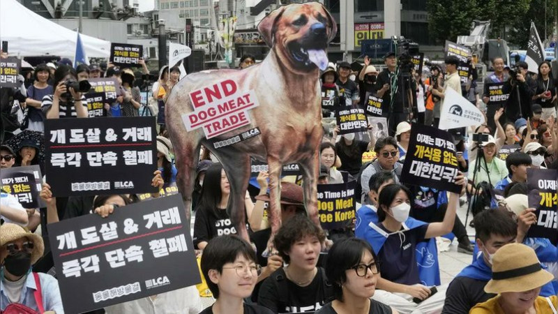 Corea del Sur prohíbe consumo humano de carne de perro 