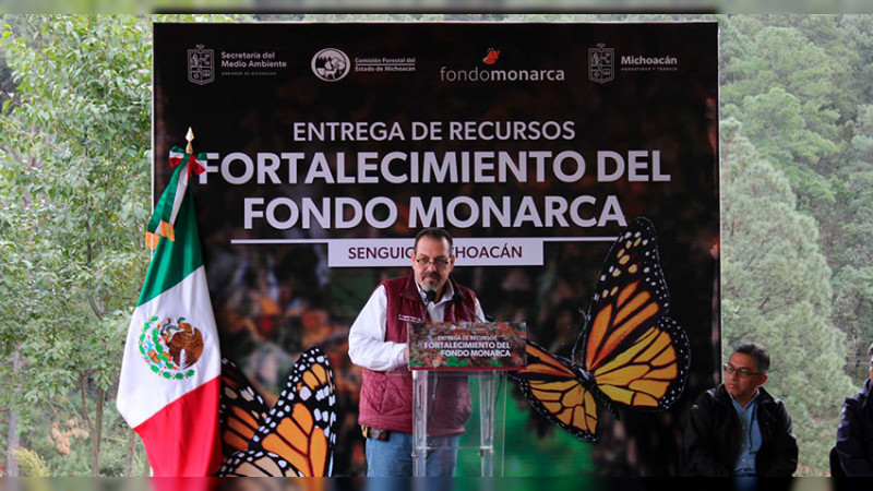 Michoacán contribuye a esfuerzo trinacional para conservación de la Monarca: Secma  