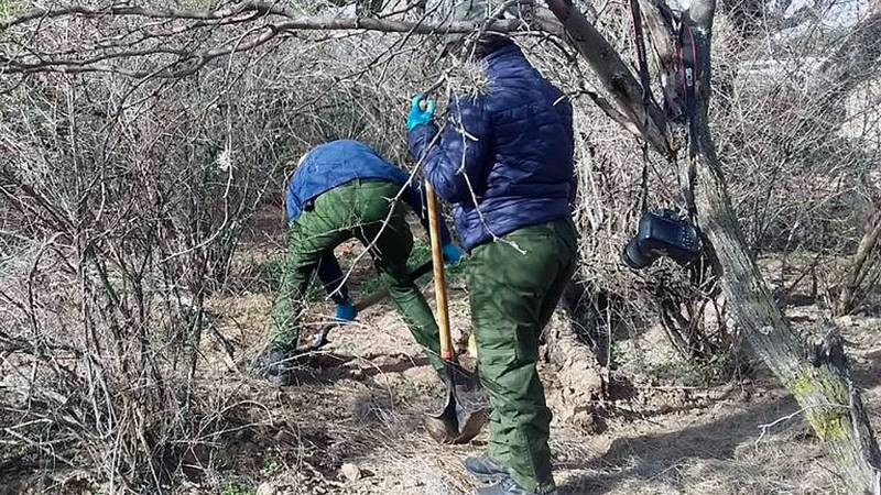 Hallan fosas con restos humanos de 10 personas en Luis Moya, Zacatecas 