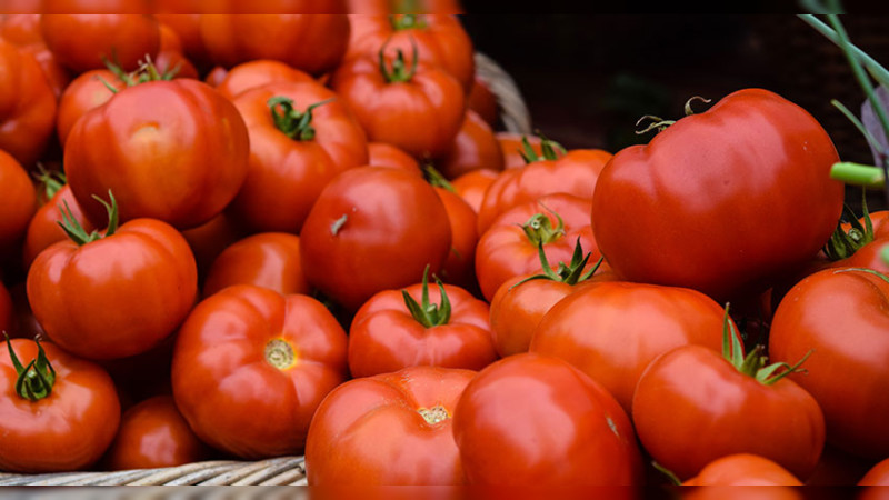 Jitomate llega al triple del precio que tenía en diciembre  