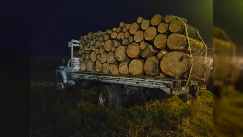 En 2023, la FGE aseguró 44 predios relacionados con delitos ambientales en Michoacán 
