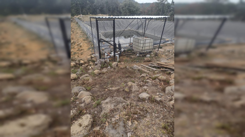 En 2023, la FGE aseguró 44 predios relacionados con delitos ambientales en Michoacán 