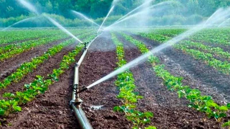 Vamos a dejar incorporadas al sistema de riego 100 mil hectáreas: AMLO 