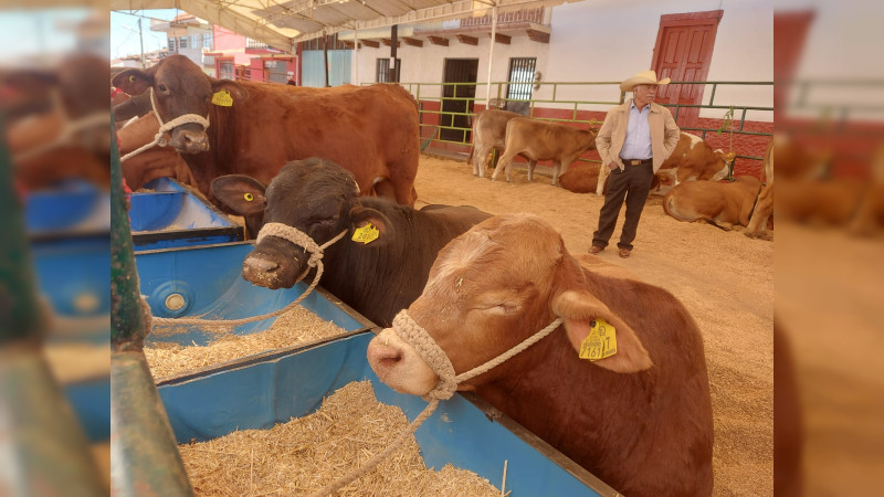 Avanzan productores y autoridades en identificación de ganado en Michoacán