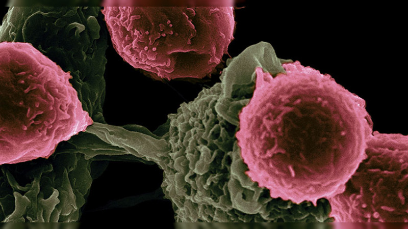 Sector salud de Michoacán tiene 8 clínicas gratuitas para detectar el cáncer cervicouterino 