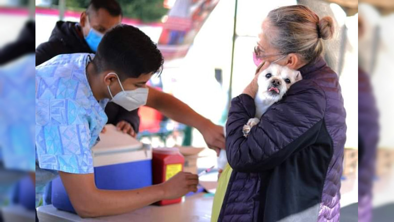 SSM anuncia vacunación antirrábica canina y felina en Morelia 