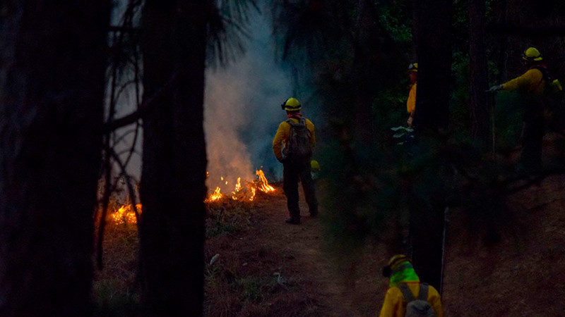 Gobierno de Nacho Campos sigue preparándose para prevenir incendios forestales en Uruapan 