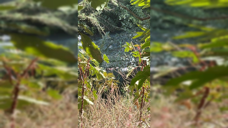 Encuentran cadáver flotando en el Río Cupatitzio en Uruapan 