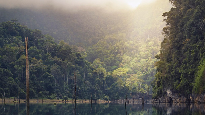 Empresas turísticas suspenden viajes a la Selva Lacandona, ante ola de violencia en Chiapas 