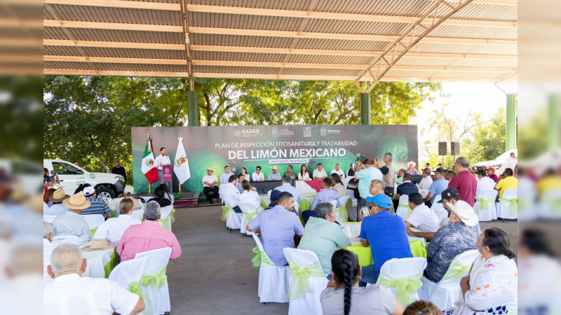 Próxima semana inician procesos de certificación de movilidad de origen del limón en Michoacán 