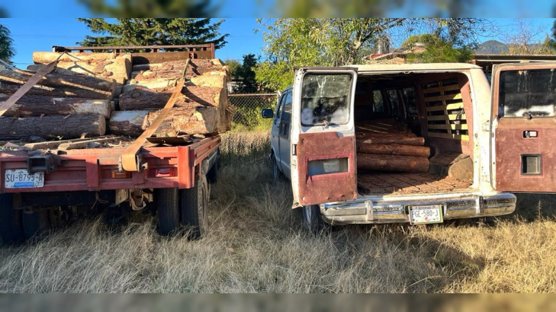 Aseguran en Ocampo, Michoacán 2 vehículos con cargamento de madera ilegal 