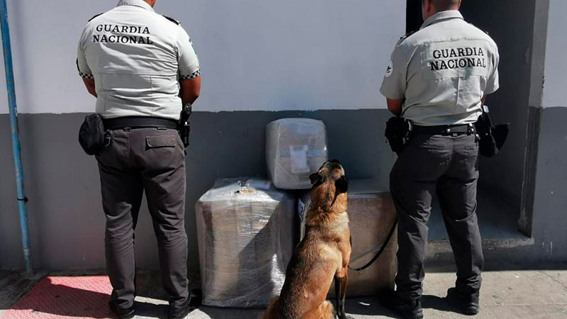 SLP: decomisan 38 kilos de droga en empresa de paquetería, pretendía ser enviado a Michoacán 