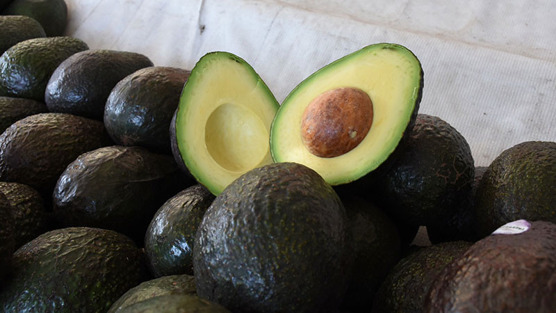 Michoacán enviará 130 mil toneladas de aguacate para Superbowl LVIII: Sader 