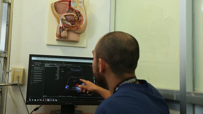 Enfermedades crónico-degenerativas pueden desencadenar andropausia temprana: ISSSTE  