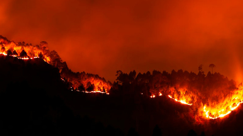 Decretan toque de queda en Valparaíso y Viña del Mar por incendios forestales; hay al menos 10 muertos 