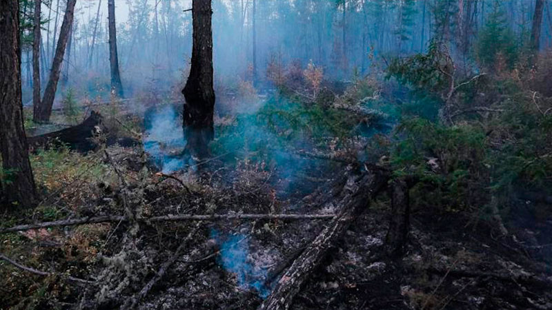 Sube a 99 el número de fallecidos tras incendios forestales en Chile 
