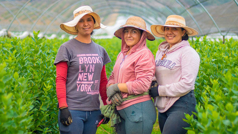 Sí Financia Michoacán informa que sobre programa de créditos con tasas de interés preferenciales 
