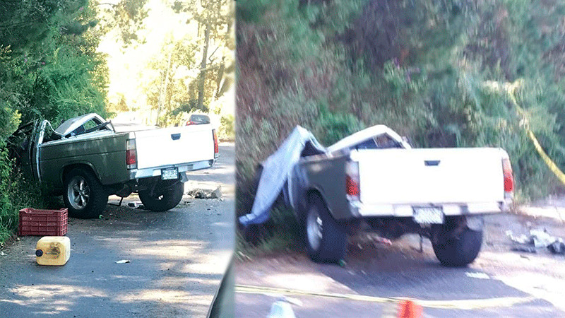 Muere conductor en San Juan Nuevo, Michoacán al caerle un árbol encima a su vehículo 