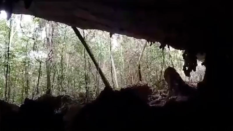 Ecocidio: Ambientalistas denuncian “río de cemento” causado por el Tren Maya 