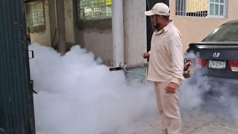 Guerrero registra una disminución del 95% en casos de dengue 