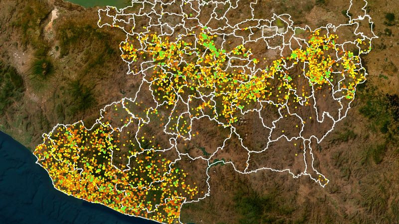 Con Guardian Forestal suman 327 denuncias por cambio de uso de suelo: Bedolla 