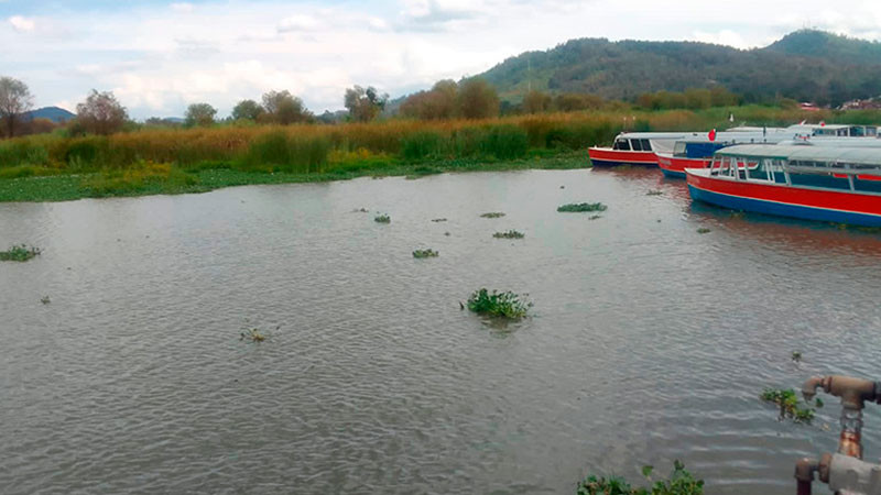 Sustraen de manera ilegal 100 pipas diarias del Lago de Pátzcuaro y Zirahuén: Pavel Ulianov  