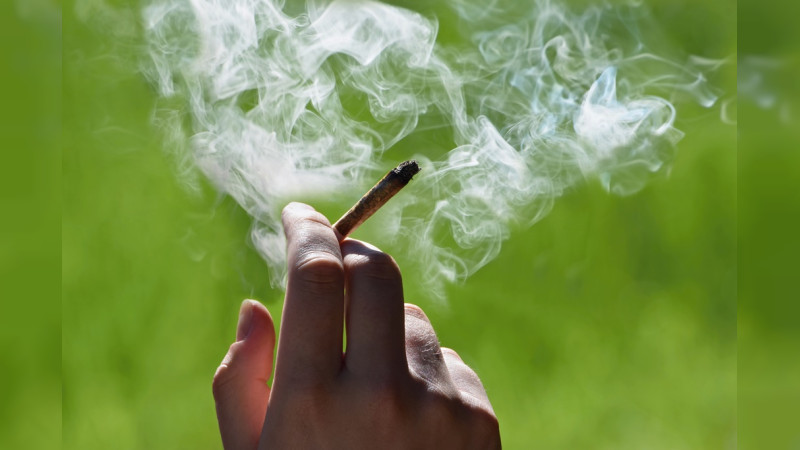 “Alcohol y tabaco, las drogas más consumidas, matan a miles, y el cannabis no”: Jurista en seminario de la UNAM sobre legalización 