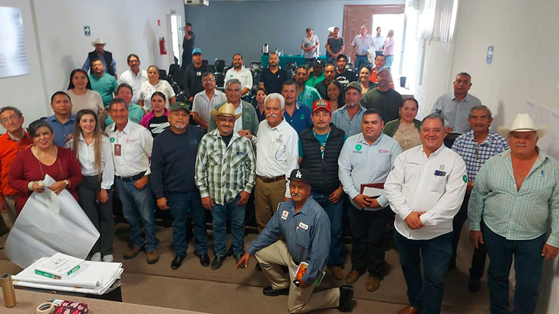 Sector agrícola busca certificación de guayaba michoacana para exportación 