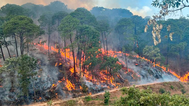 Luego de 27 horas de trabajos, extinguen incendio en Ixtepeji, Oaxaca, que consumió 100 hectáreas de bosque 