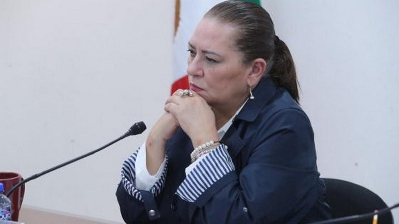 Taddei asegura que INE no incumplió sentencia del TEPJF en materia de seguridad para candidatos 