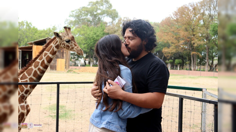 Parejas unen sus vidas en el Zoo de Morelia con las jirafas como testigos
