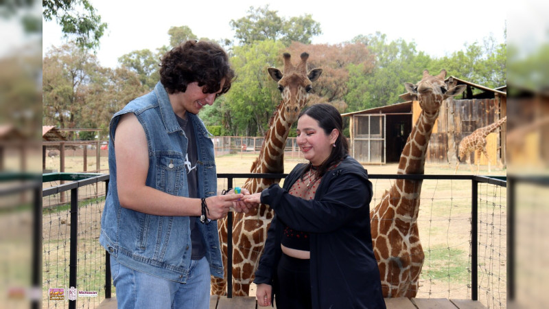 Parejas unen sus vidas en el Zoo de Morelia con las jirafas como testigos