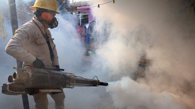 Acapulco, primer lugar en número de casos de dengue 