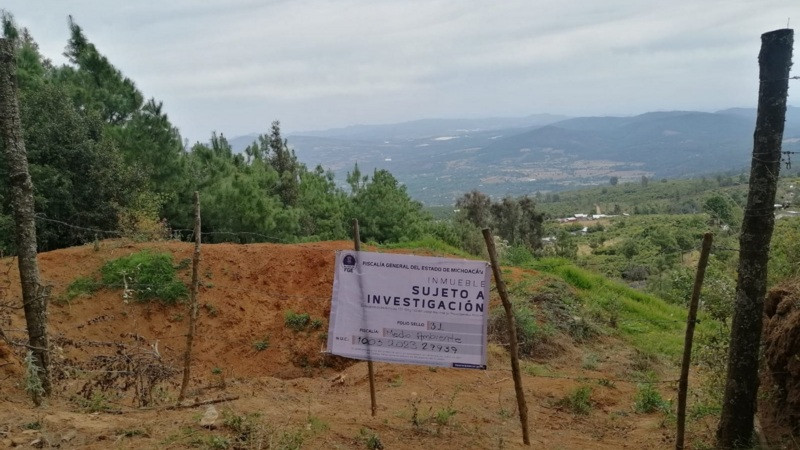 Aseguran en Acuitzio, Michoacán, predio talado para siembra de aguacate  