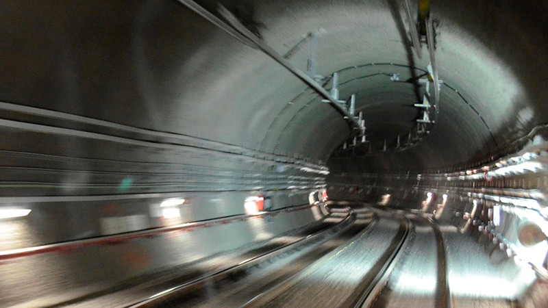 ¡Para salvar perritos! cortan energía eléctrica en vías de la Línea 12 del Metro, en CDMX 