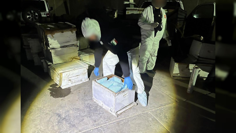Vinculan a proceso a trailero que transportaba un millón de pastillas de droga en cajas de abejas 