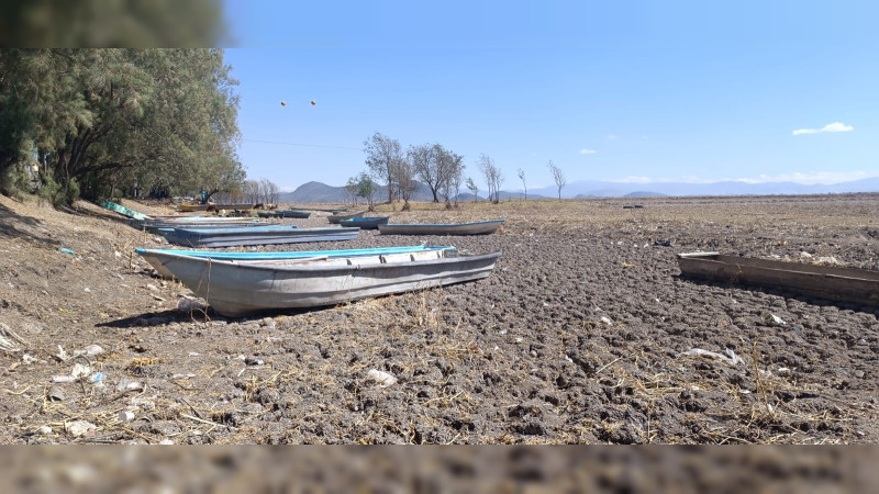 Sequía del Lago de Cuitzeo es aprovechado por la delincuencia, señalan habitantes