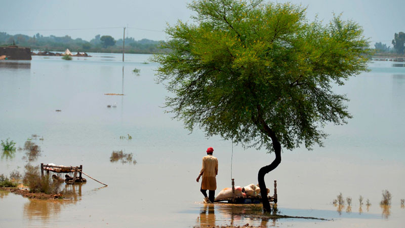 Fuertes lluvias en Pakistán deja cuatro muertos y nueve heridos 