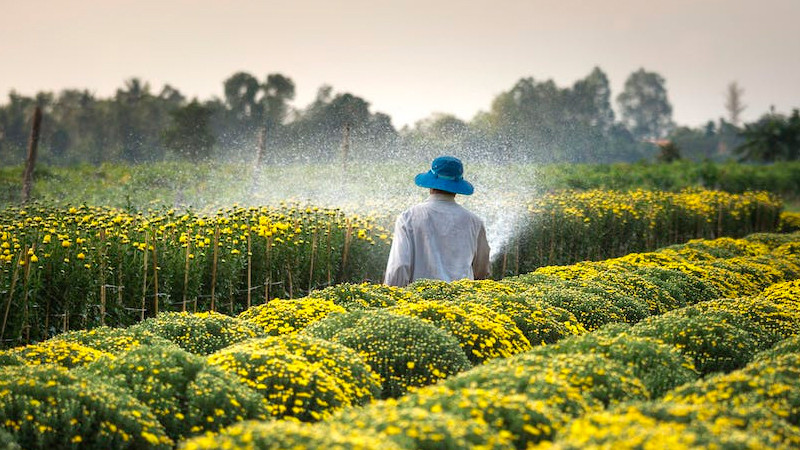 México puede instaurar la agricultura sustentable para eficientar uso del agua: Sader 