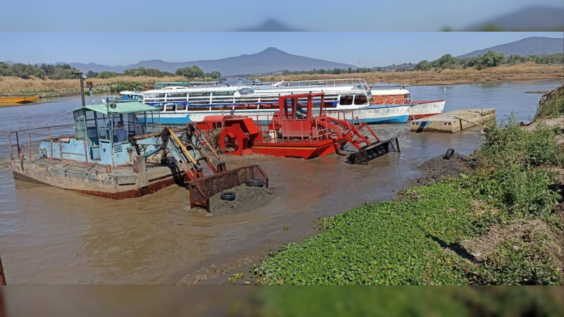 En operación permanente, brigadas de limpieza en el lago de Pátzcuaro: Compesca 