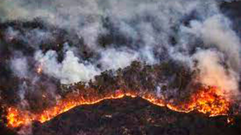 Incendio en Australia arrasa con 100 mil hectáreas y provoca miles de evacuaciones  