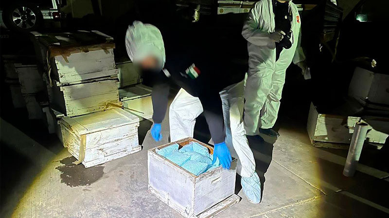 Guardia Nacional decomisa 2 millones de pastillas de opioide en Sonora; hay tres detenidos  