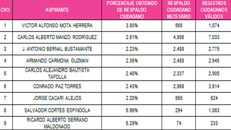 Avanzan 9 aspirantes a candidaturas independientes: IEM